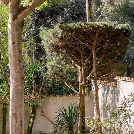 La Maison Des Epinouses, 4 A 450m De La De Chaucre Σπίτι διακοπών