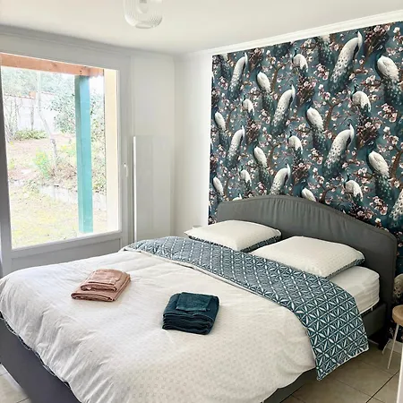 La Maison Des Epinouses, 4 A 450m De La De Chaucre Holiday home