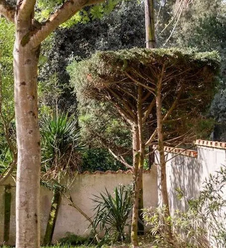 La Maison Des Epinouses, 4 A 450m De La De Chaucre Holiday home